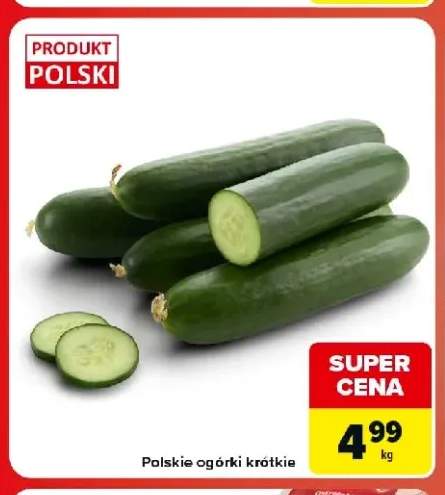 Ogórki krótkie polskie