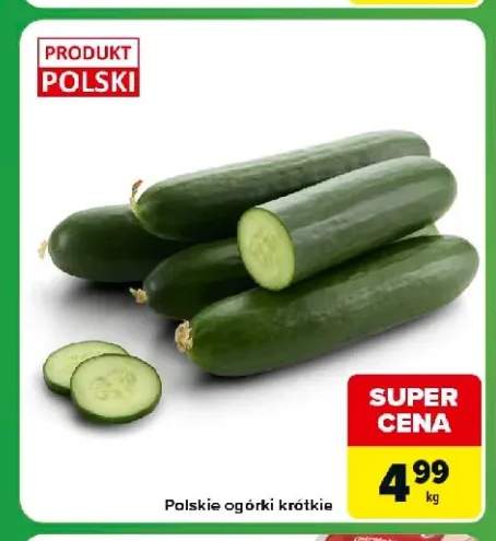 Ogórki krótkie polskie