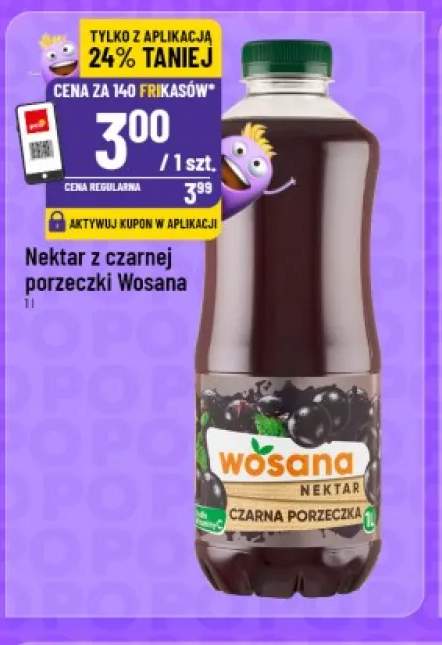 Nektar z czarnej porzeczki Wosana