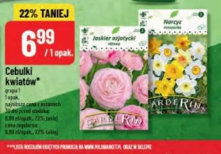 Cebulki kwiatów Jaskier azjatycki różowy Garderin +1 wariant
