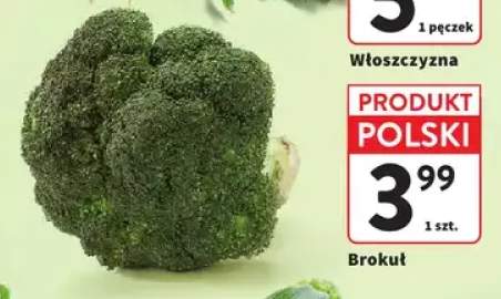 Brokuł polski