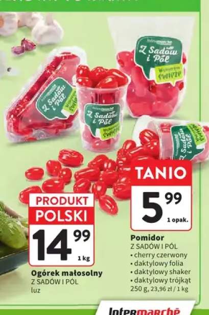Pomidory cherry czerwone Z Sadów i Pól +3 warianty