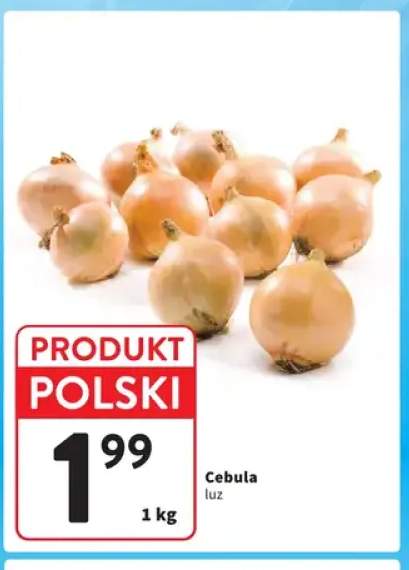 Cebula