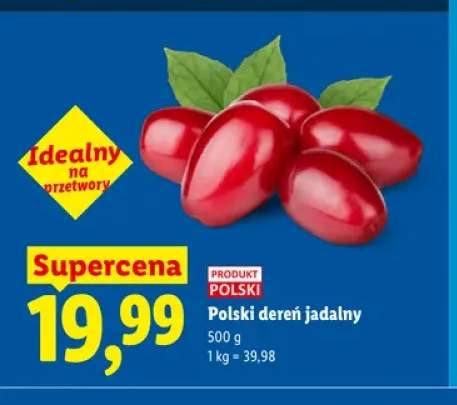Dereń polski jadalny