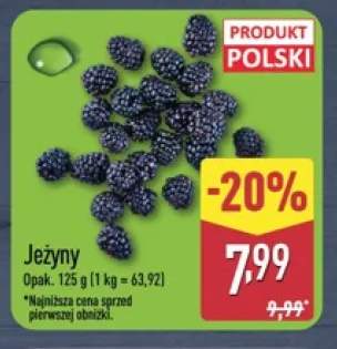 Jeżyny