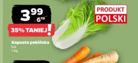Kapusta pekińska polska