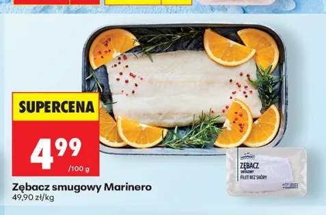 Zębacz smugowy Marinero