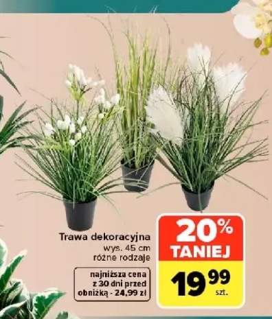 Trawa dekoracyjna