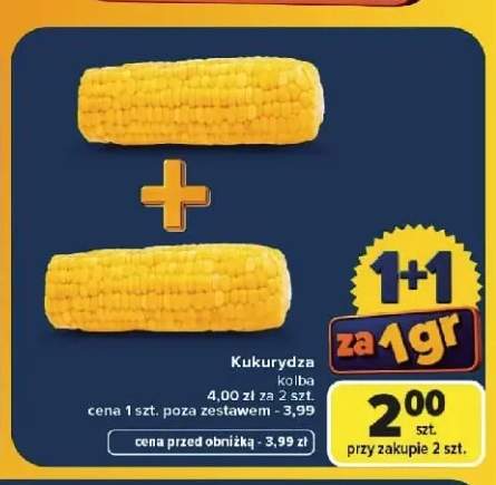 Kukurydza kolba