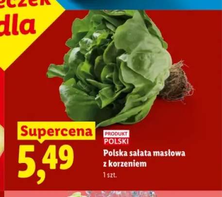 Sałata masłowa polska z korzeniem Ryneczek Lidla
