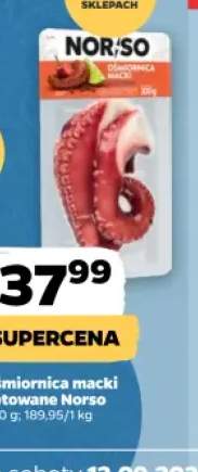 Ośmiornica macki gotowane Norso