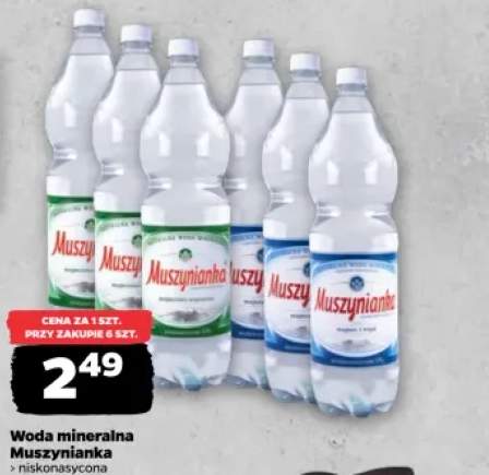 Woda mineralna gazowana niskonasycona Muszynianka +1 wariant