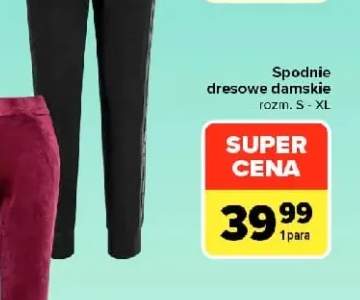 Spodnie dresowe damskie TEX