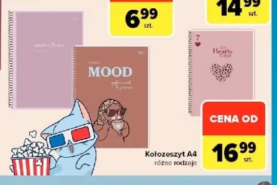Kołozeszyt A4 Interdruk