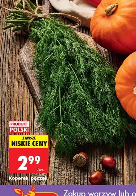 Koperek pęczek