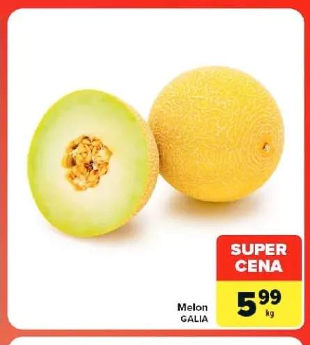 Melon Galia