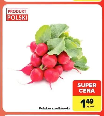 Rzodkiewki polskie