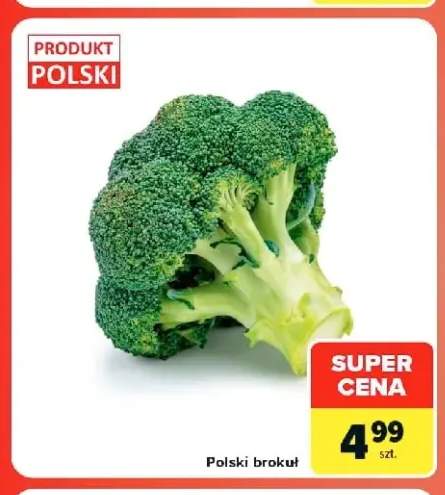 Brokuł polski