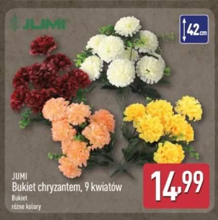Bukiet chryzantem 9 kwiatów Jumi