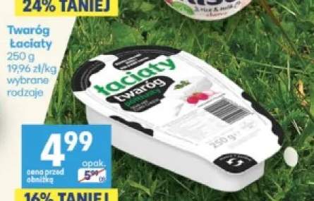 Twaróg Łaciaty