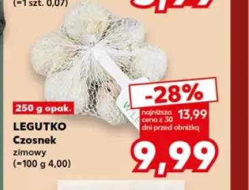 Czosnek zimowy Legutko