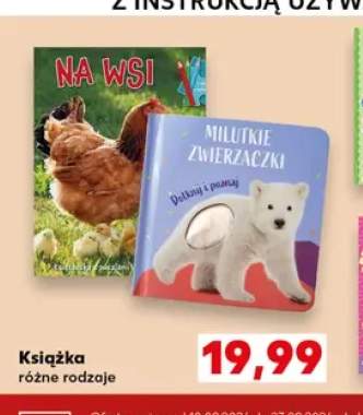 Książka