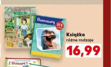 Książka