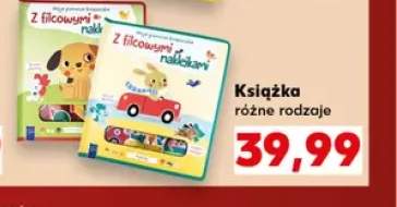 Książka
