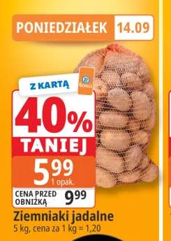 Ziemniaki jadalne