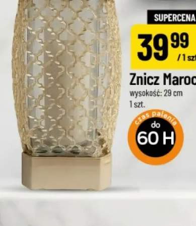 Znicz Maroco