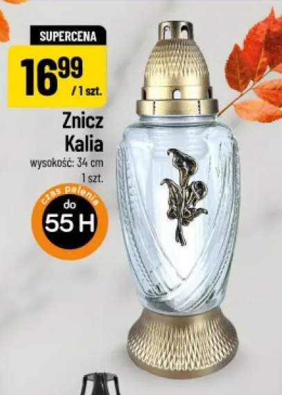 Znicz Kalia