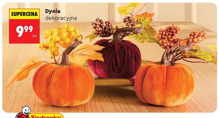 Dynia dekoracyjna