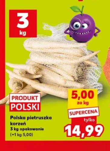 Pietruszka korzeń polska