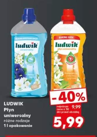 Płyn uniwersalny Ludwik