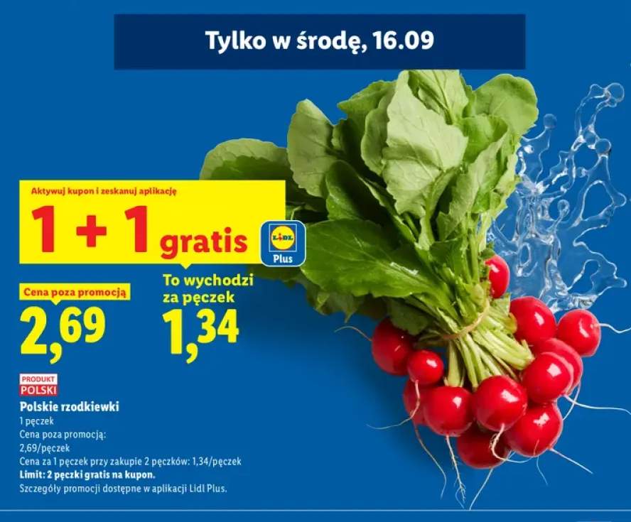 Rzodkiewki polskie