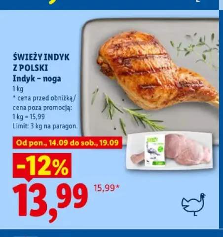 Indyk noga Świeży Indyk z Polski
