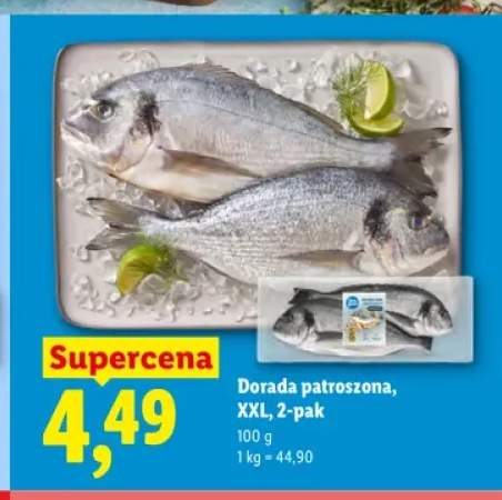 Dorada patroszona XXL 2-pak