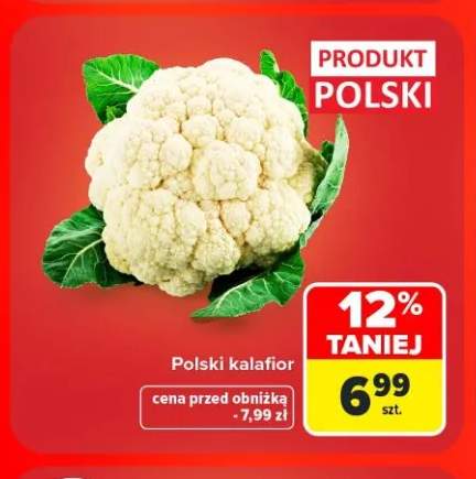 Kalafior polski