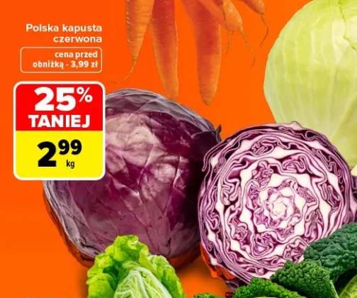 Kapusta czerwona polska