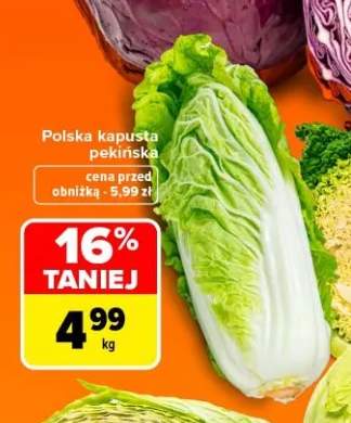 Kapusta pekińska polska