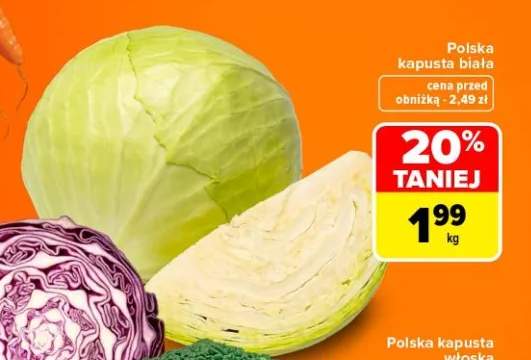 Kapusta biała polska