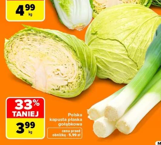 Kapusta płaska gołąbkowa polska