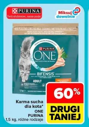 Karma sucha dla kota One Purina