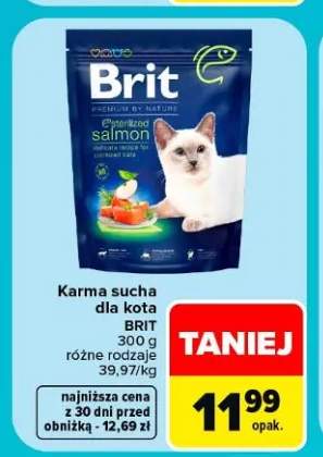 Karma sucha dla kota Brit