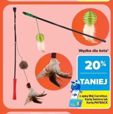 Wędka dla kota