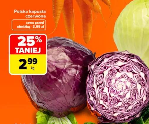 Kapusta czerwona