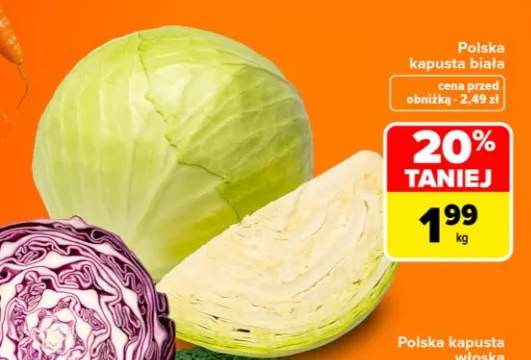 Kapusta biała polska