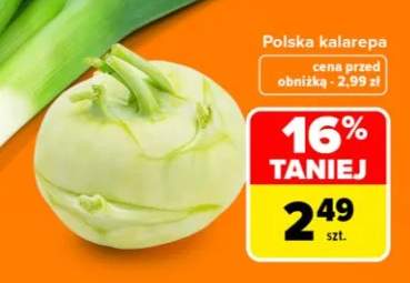 Kalarepa polska