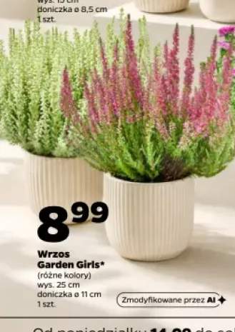 Wrzos Garden Girls