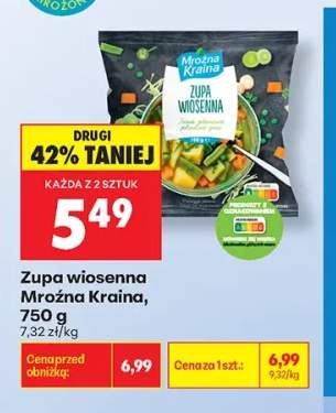 Zupa wiosenna Mroźna Kraina